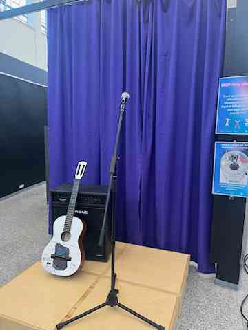 Guitar