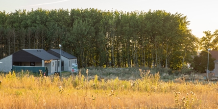 En tom beplantet grund og nybyg i baggrunden i Næstved Nord