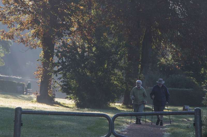 Billede af mand og kvinde gående blandt træer med stavstænger