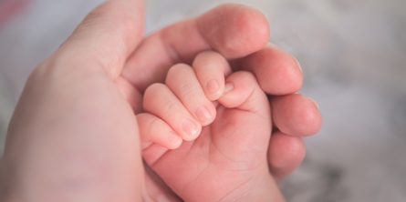 Barnehånd i voksenhånd