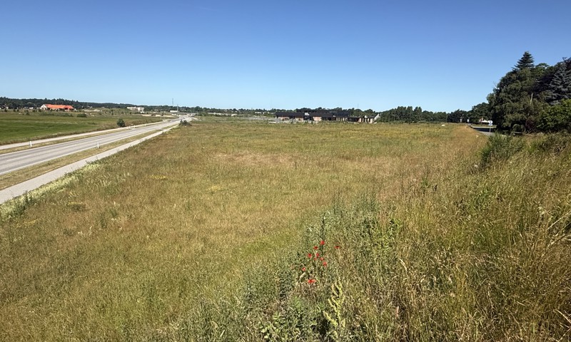 Det er her på arealet i Stenlængegaardområdet, at der nu åbnes for udbud med mulighed for opførsel af friplejehjem og boliger. Foto: Næstved Kommune
