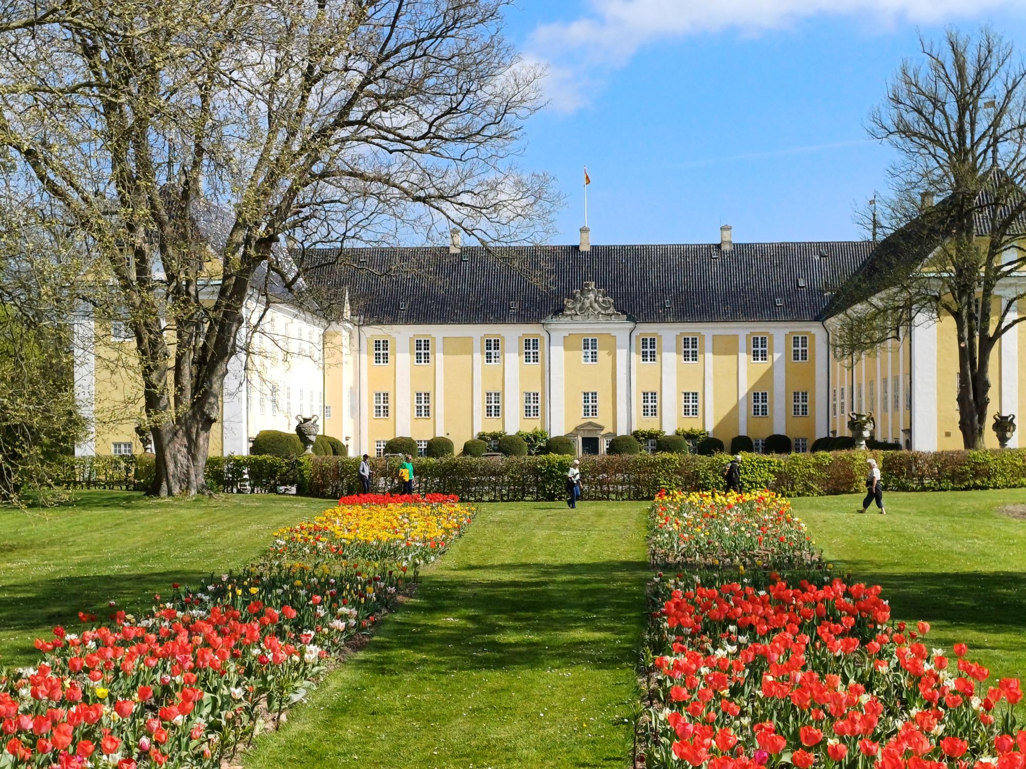 Stor gul bygning Gavnø Slot med røde og gule tulipaner i forgrunden. 