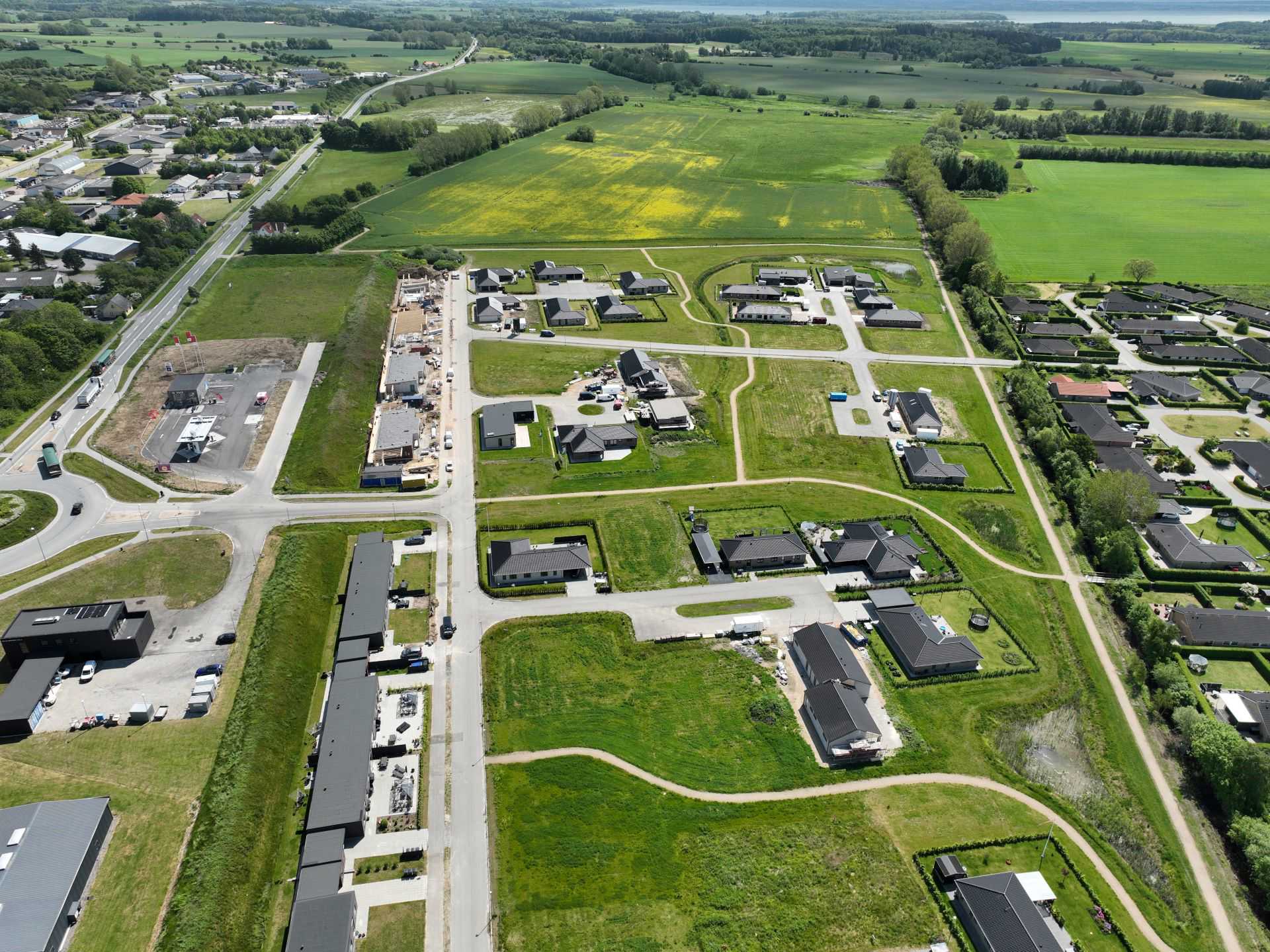 Billede 4 kvædevænget