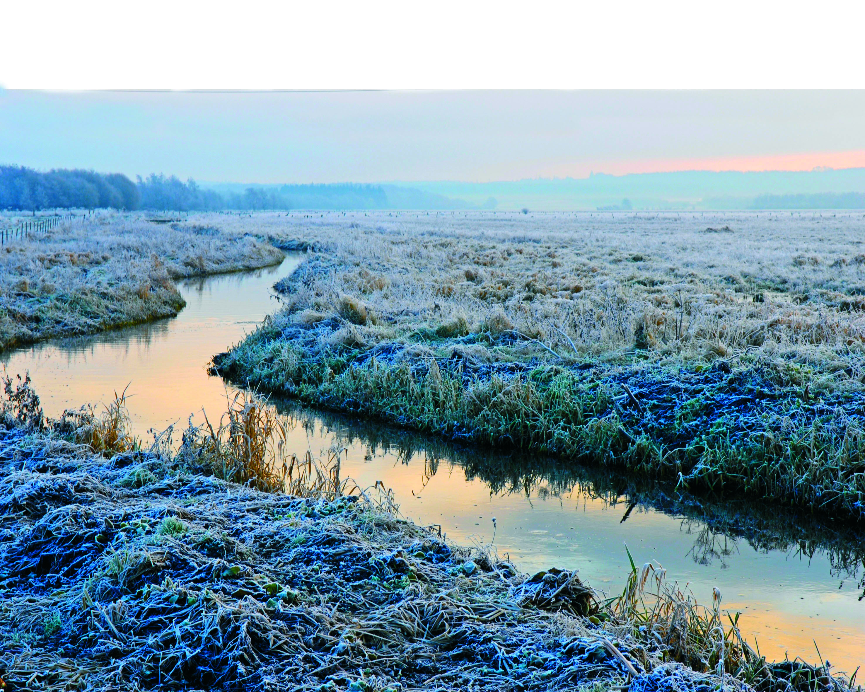 Vinterdag i Holmegaards mose med frostdækket landskab
