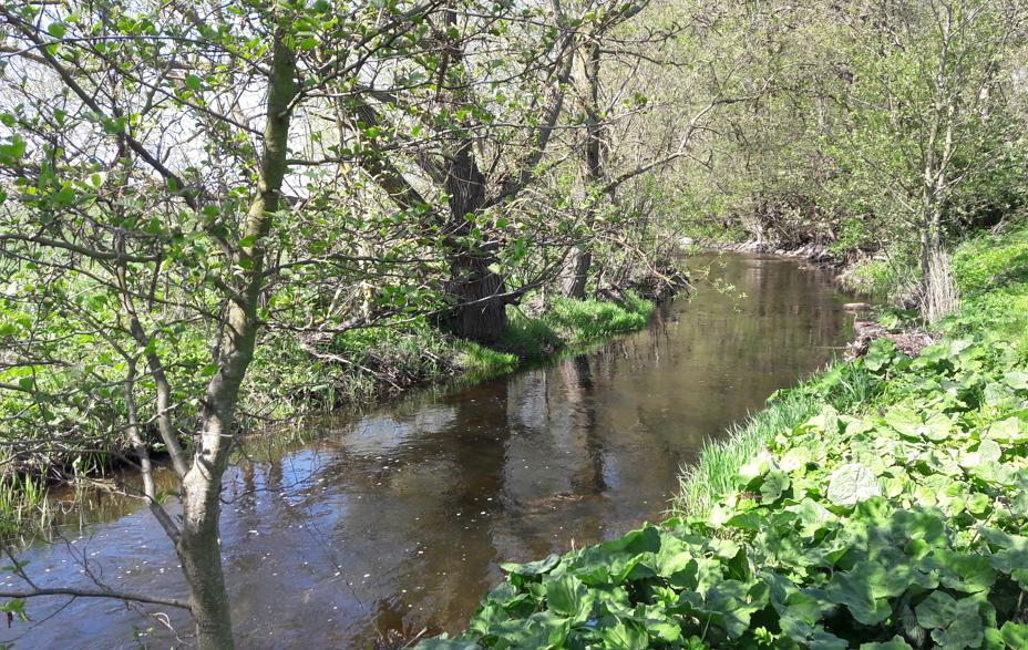 Øvre Suså Vandløb, vandråd, vandplan