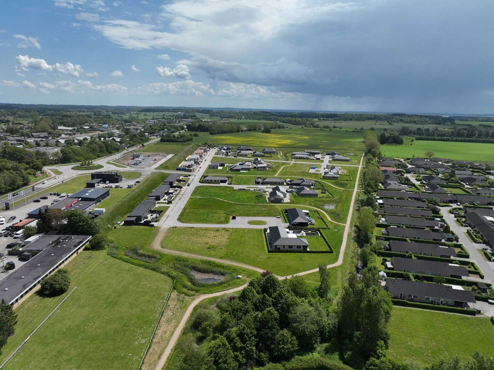 Billede 1 kvædevænget