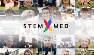 Stem med webbanner Stem med webbanner