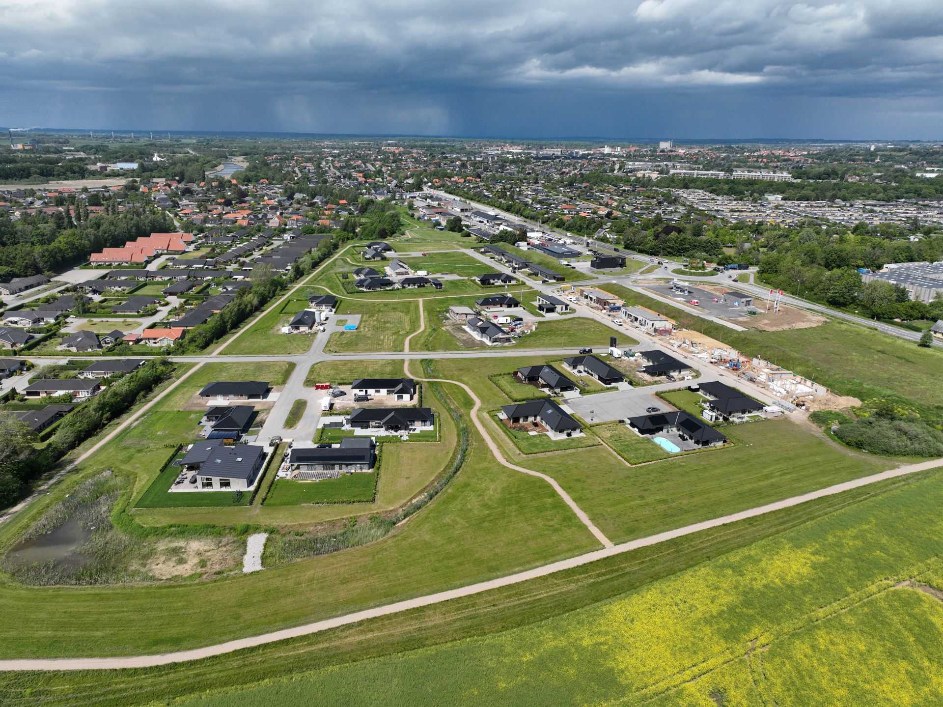 Billede 8 kvædevænget