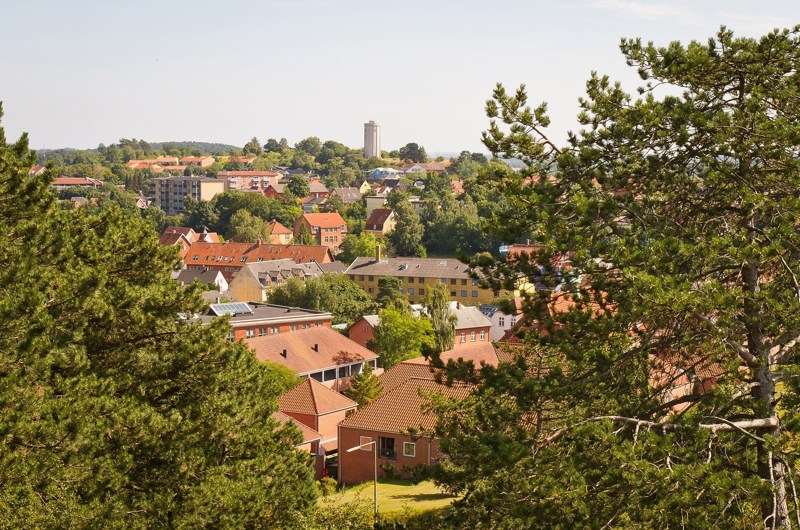 Røde hustage ses igennem to træer