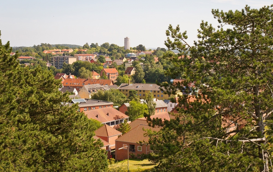 Røde hustage ses igennem to træer