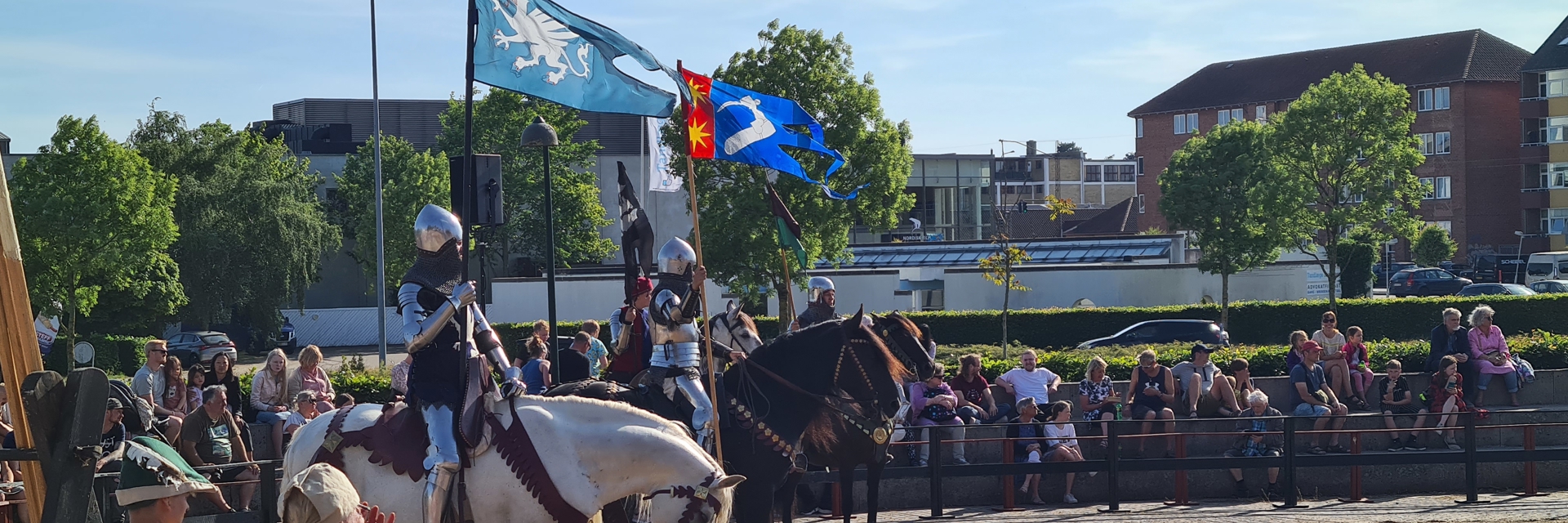 De Ridder Flag Hvad sker der, Næstved? | Næstved Kommune