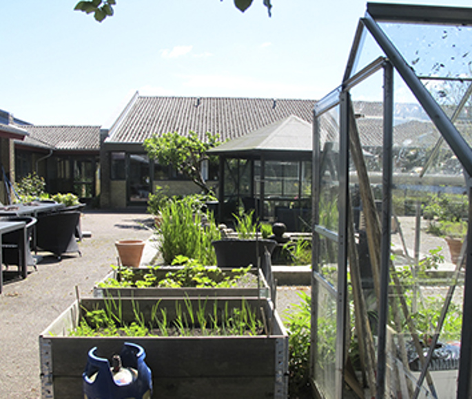 Fælles have og drivhus på Birkebo