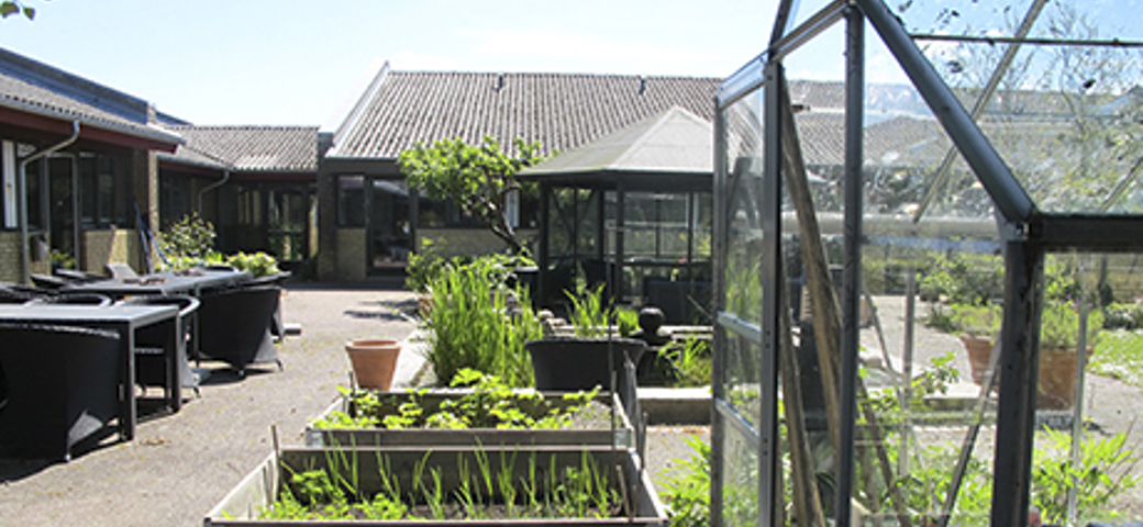 Fælles have og drivhus på Birkebo