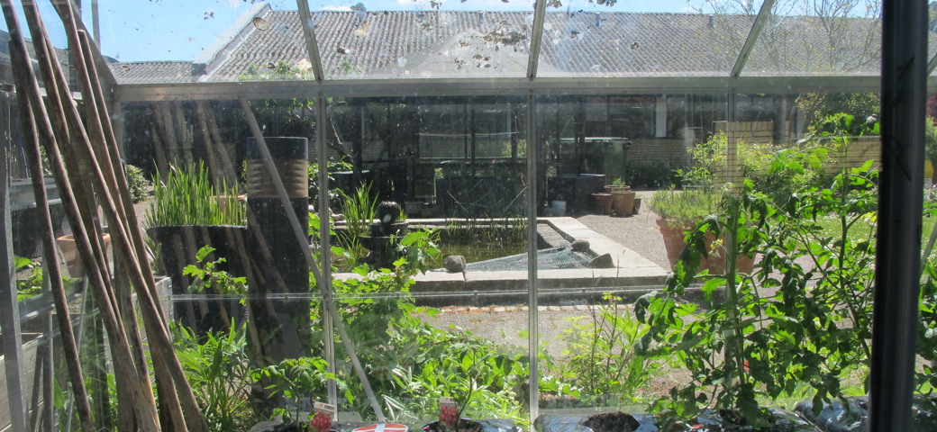 Rosenhaven - drivhus, plantesæk og havebassin
