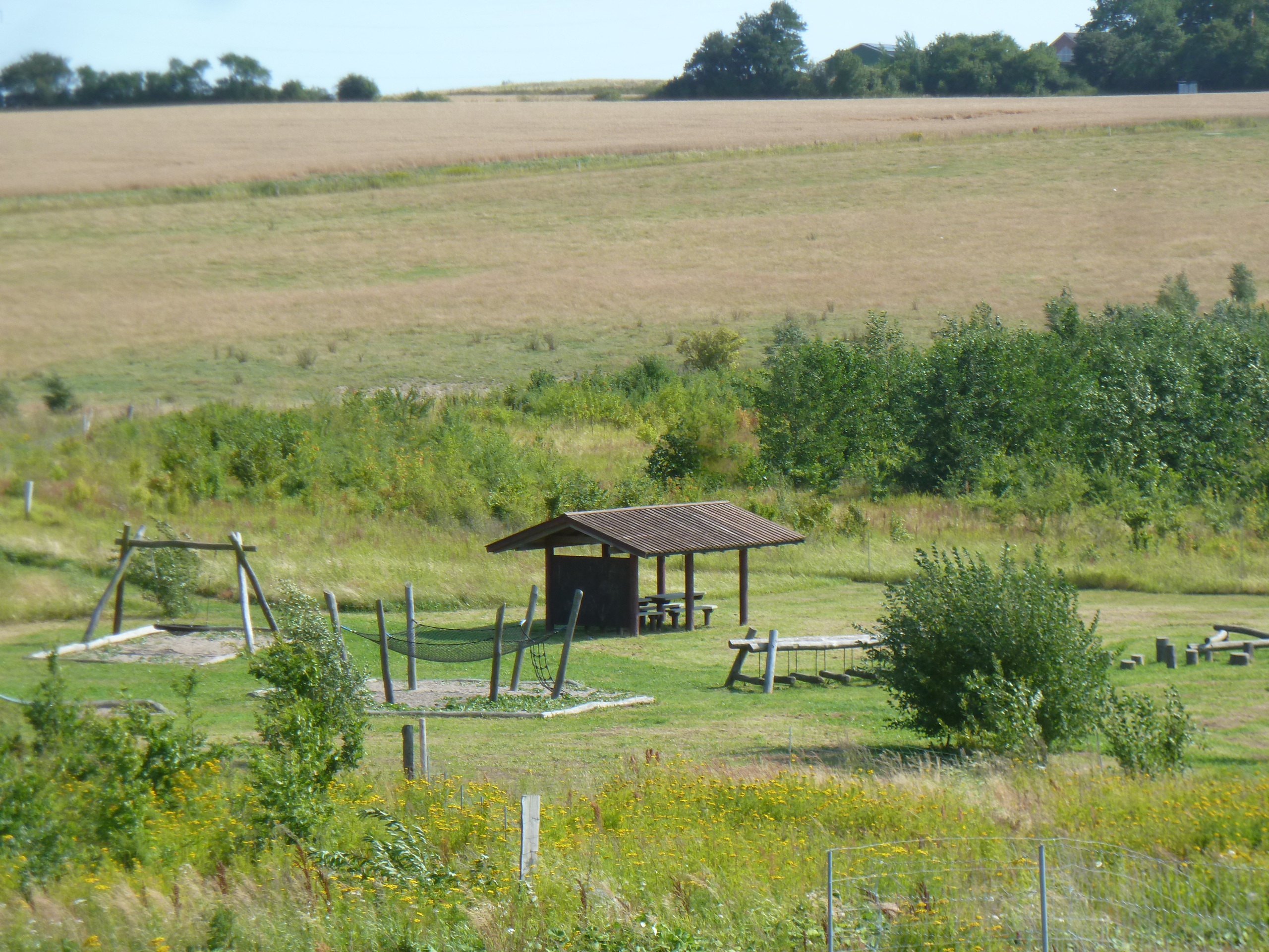 Slide image