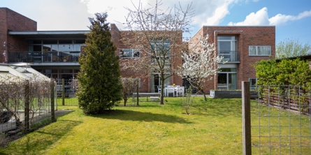 Have med kirsebærtræer og grønne buske