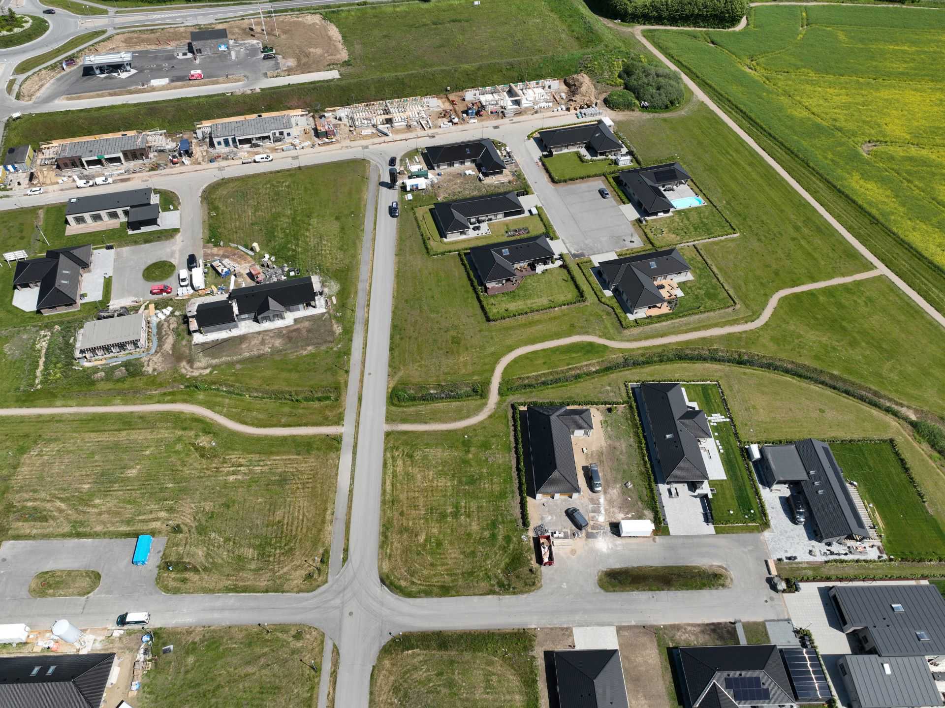 Billede 12 kvædevænget