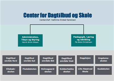 Organisationsdiagram over Center for Dagtilbud og Skole