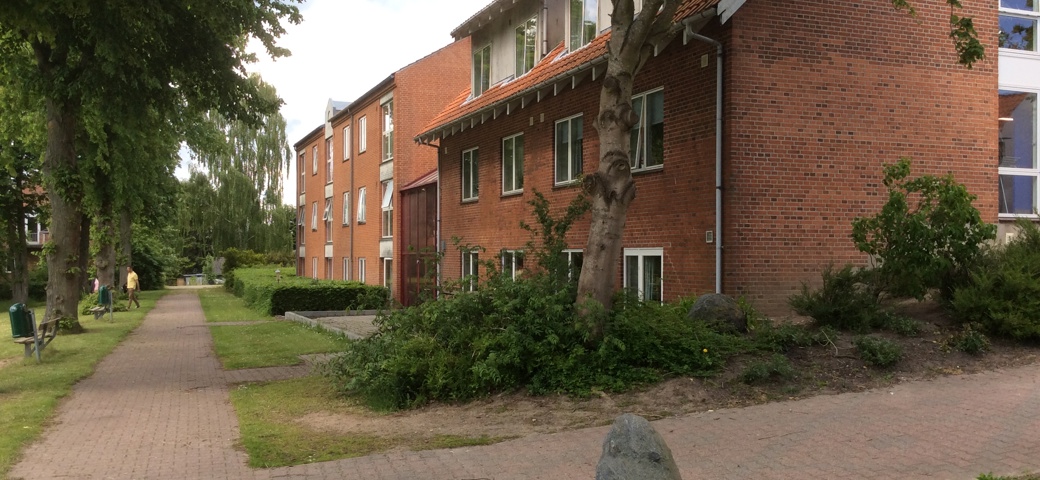 Bagsiden af Søvang