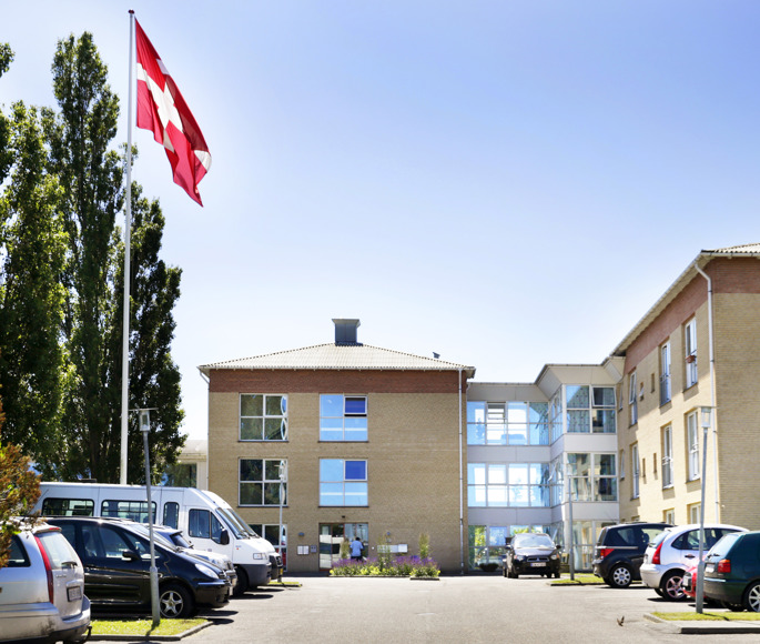 Birke-Bo set fra parkeringspladsen med flagstand med hejst dannebrog