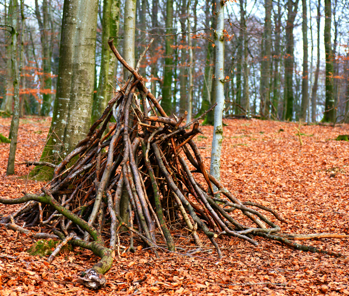 En hule bygget af grene og træstammer i skov