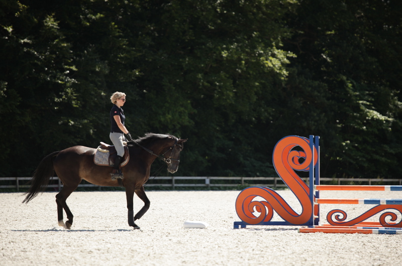 Landzonetilladelse til ridebane