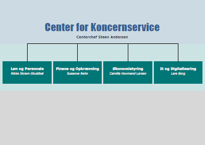 Organisationsdiagram over Center for Koncernservice