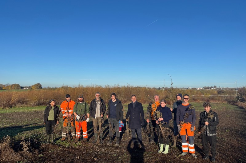 Elever og formand i den nyplantede klimaskov under blå himmel