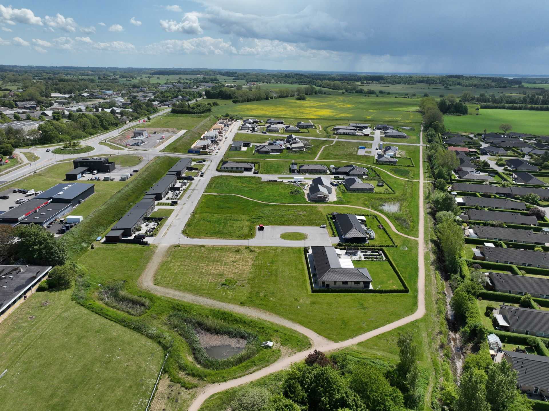 Billede 3 kvædevænget