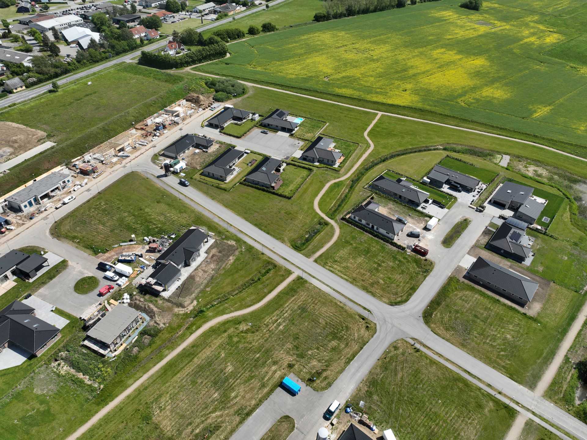 Billede 15 kvædevænget