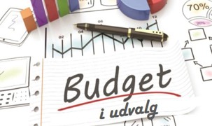 Teksten Budget i Udvalget skrevet på plance Teksten Budget i Udvalget skrevet på plance