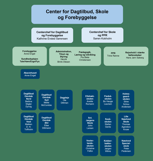 Organisationsdiagram over Center for Dagtilbud, Skole og Forebyggelse i Næstved Kommune