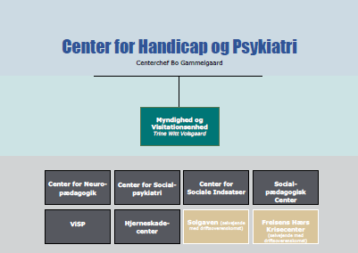 Organisationsdiagram over Center for Handicap og Psykiatri