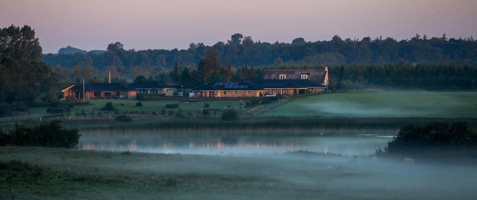 Et Boligkvarter i Diset Landskab lige ud til en sø