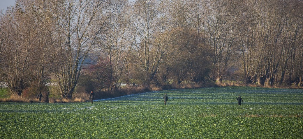 To jægere går over en grøn mark 