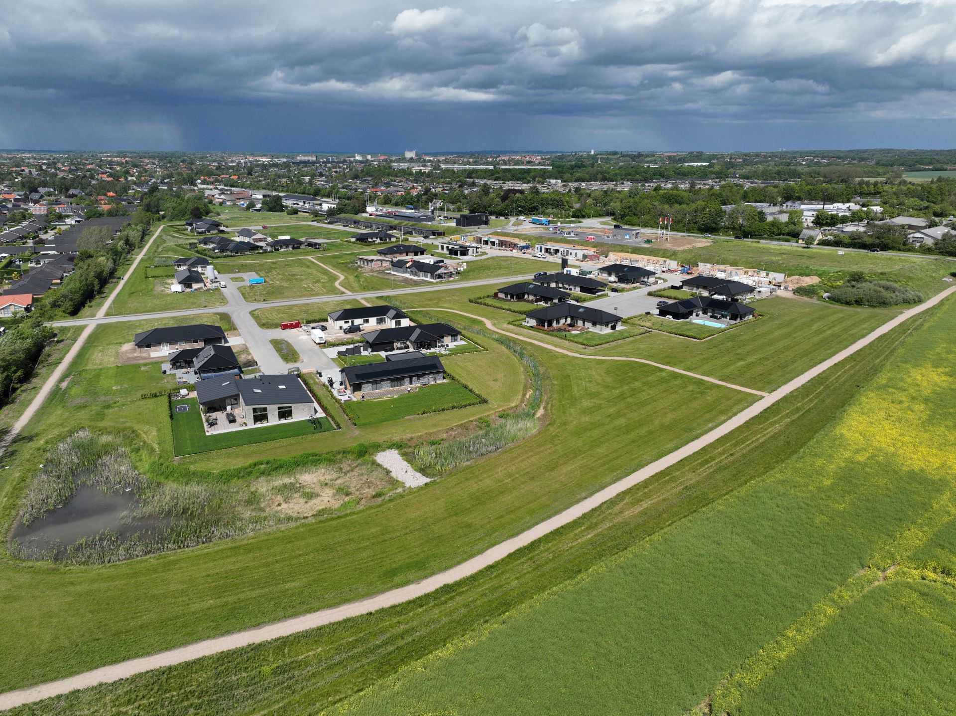 Billede 9 kvædevænget