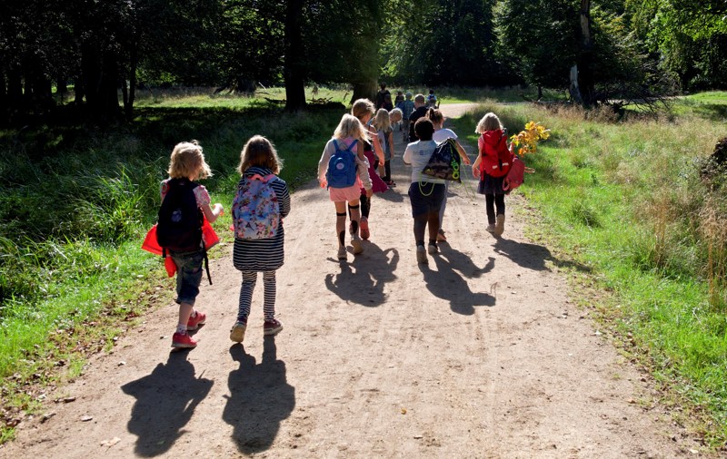 Skolebørn på gåtur i skoven