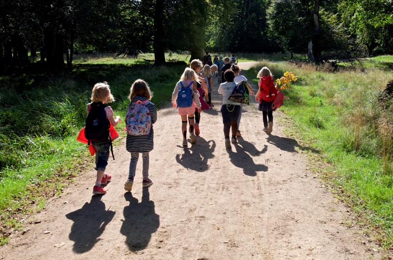 Skolebørn på gåtur i skoven