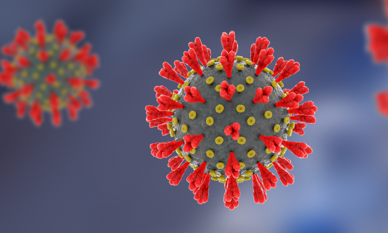 Coronavirus Coronavirus