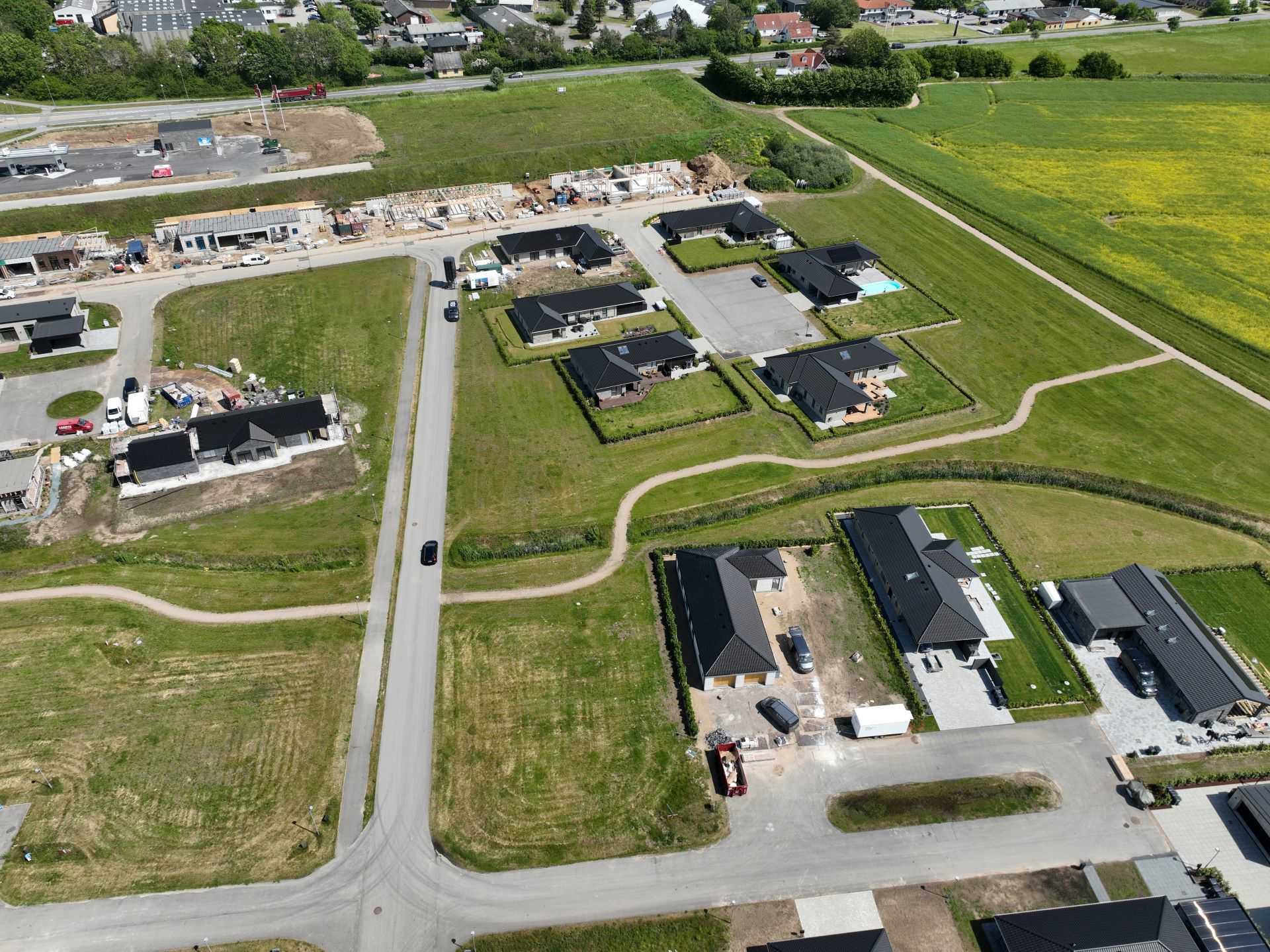 Billede 11 kvædevænget