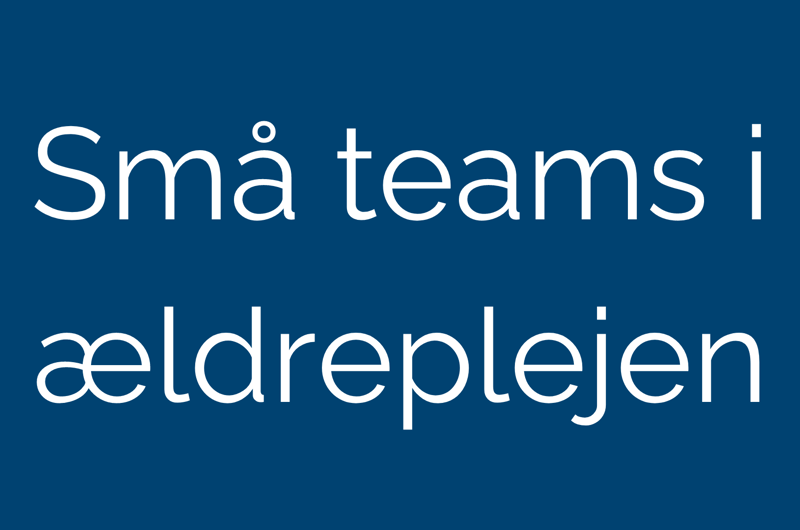Små teams i ældreplejen