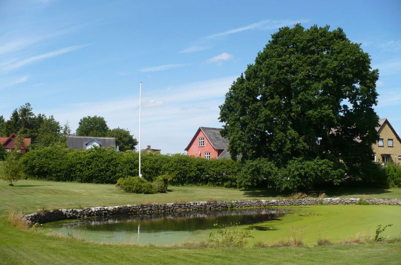 Gadekær Blangslev med blå himmel og træ med stor grøn krone