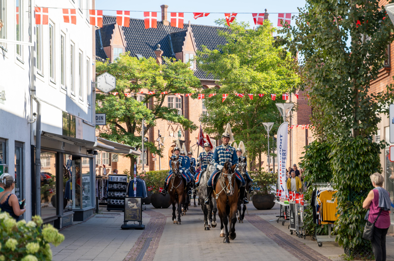 Heste i galla fra Gardahusarregimentet