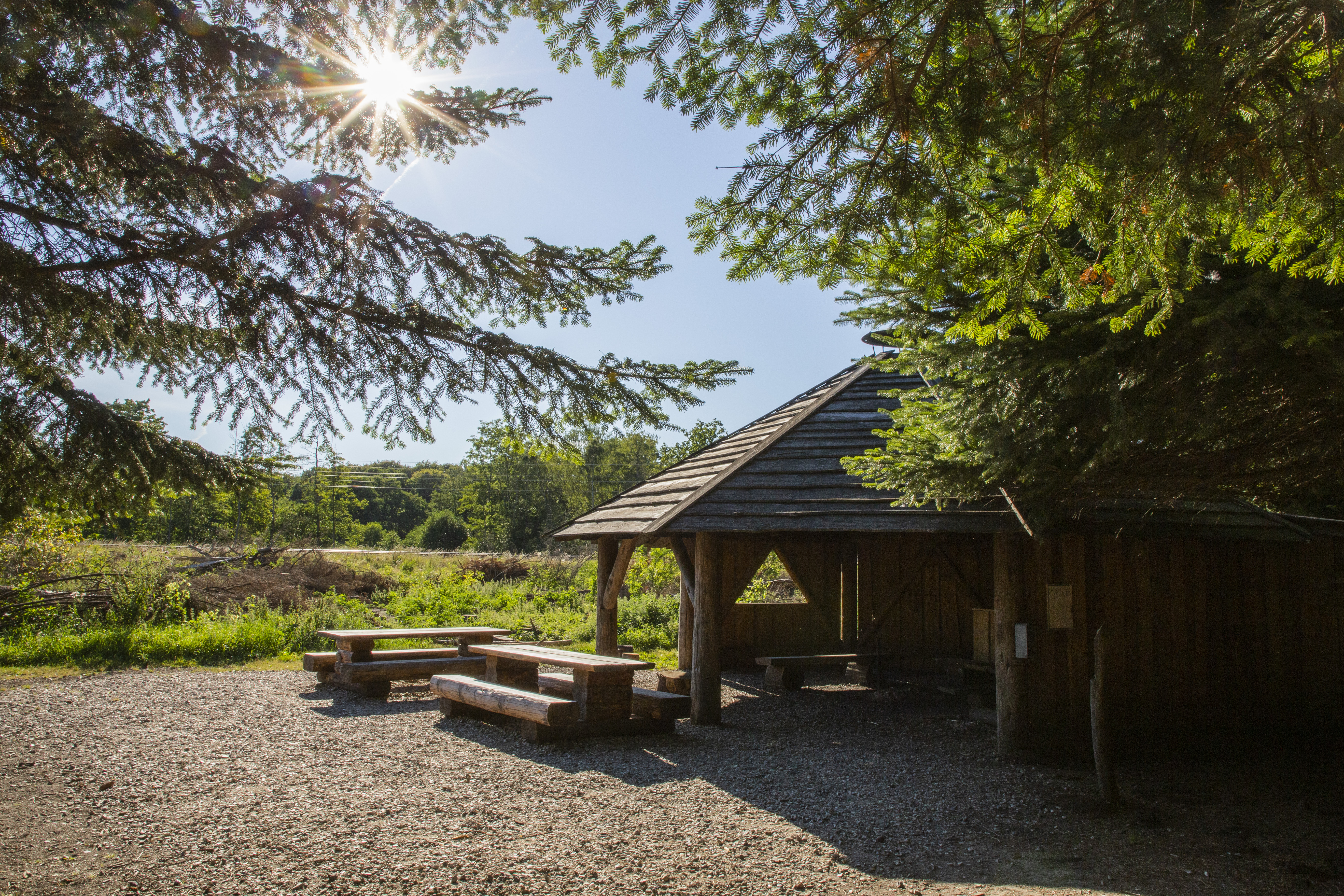Shelteret Fruens Ly i Fruens Plantage i Næstved