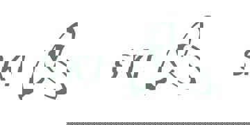 SKI - logo
