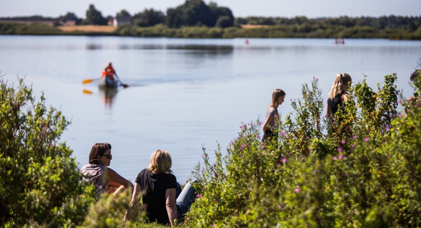 Mennesker sidder ved vandkanten imens en kajaksejler padler i vandet ved Tystrup sø