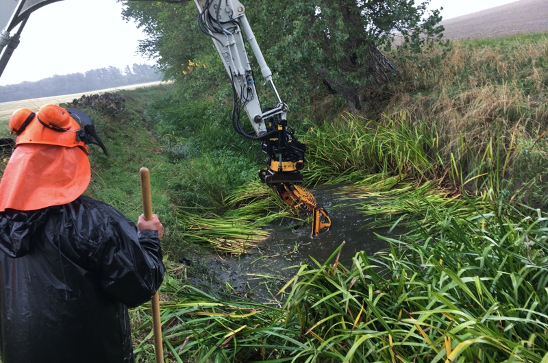 pindsvineknop