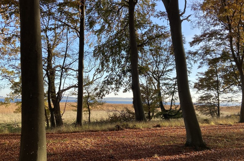 Saltø Skovbegravelsesplads