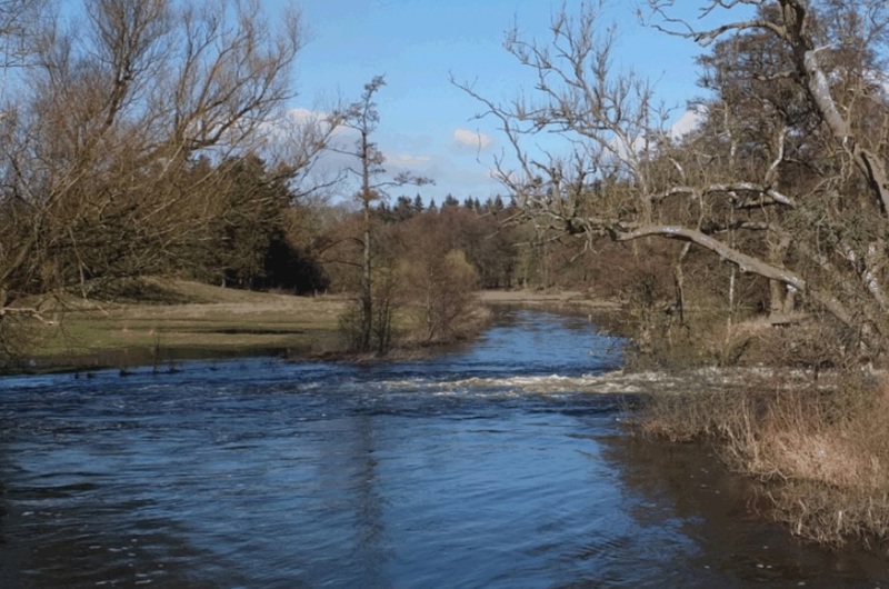 Torpe Kanal